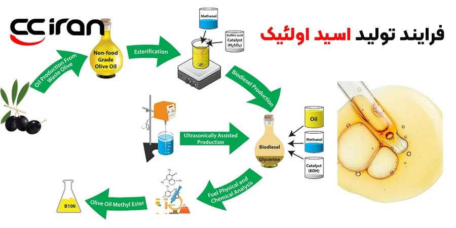 فرایند تولید اسید اولئیک